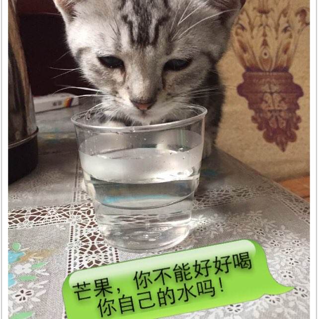 南基督大学机械制造学位证